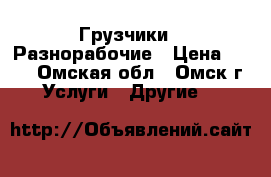 Грузчики / Разнорабочие › Цена ­ 200 - Омская обл., Омск г. Услуги » Другие   